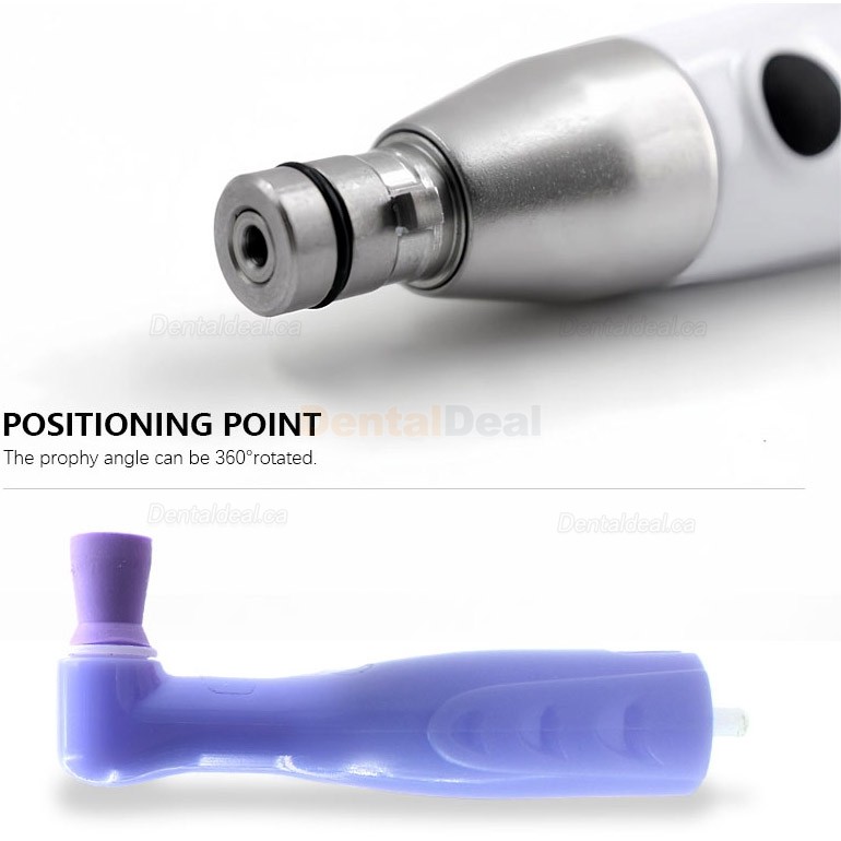 Electric Dental Hygiene Prophy Handpiece 360&deg; Swivel + 2 Prophy Angles